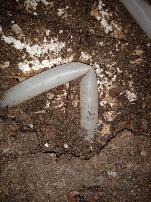 小金堵点精准查找